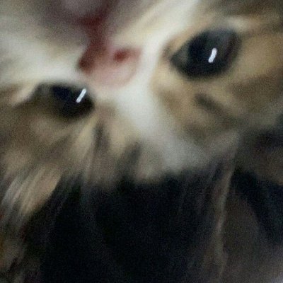 _s6va's profile picture. Hey I am Sova, I make  Art and draw stuff to make magic happen. Just keeping it chill.