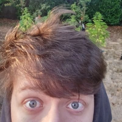 gamereibu's profile picture. on @counterstrike the voices call me nice things