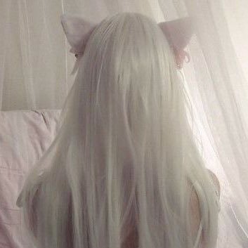 vctimpet's profile picture. dog wiff a blog ᶻ 𝗓 𐰁 .ᐟ @grossepapa ‘s kidwife ⠀⠀⠀⠀⠀⠀⠀⠀⠀⠀⠀ ⠀⠀⠀⠀⠀⠀⠀⠀ ⠀⠀⠀⠀⠀⠀⠀⠀⠀⠀⠀