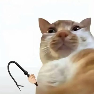 huanguxu6993's profile picture. 