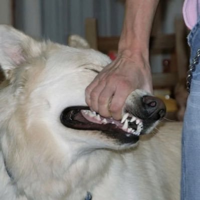 rinsedboy's profile picture. 