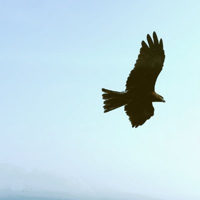 ani_zen_2's profile picture. 趣味、世相など気になる事をガンガンいいね！＆RPしてます。ポストの意見・発信に共感できる方をいいね！します、ご容赦ください。相互フォロー大歓迎！苦手な人はブロック。ブロックされたらお返し致します。