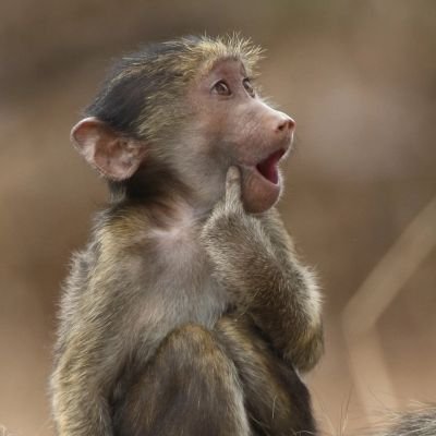 bpsugarmatra's profile picture. I am The Danger..😉😈