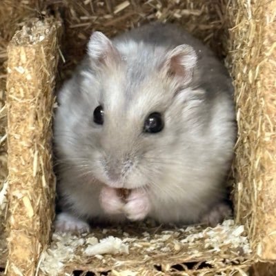 bbom_ha_'s profile picture. 일론씨제발좀