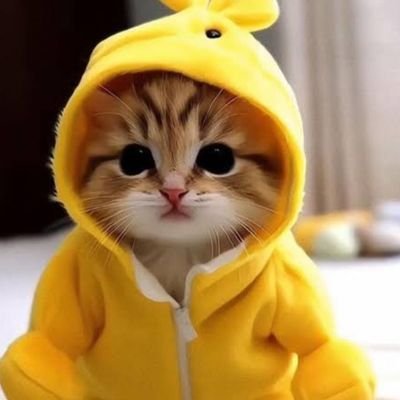 Akhilesh_11_'s profile picture. Trust the Process