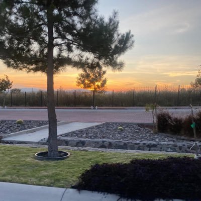 SanCa1665054's profile picture. #SoyResistencia Bloqueo chairos. Compartiendo un poco de cada día en esta interesante red.  🚫DM