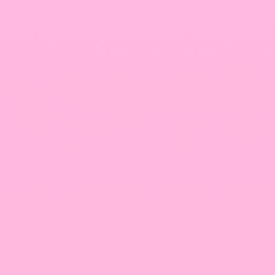 iidc0i's profile picture. أنا صح