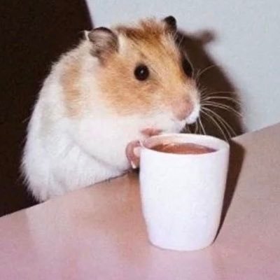 SamQuillwright's profile picture. Technology geek. “Have a vision, chase it” / Elon Musk is the future 🔭