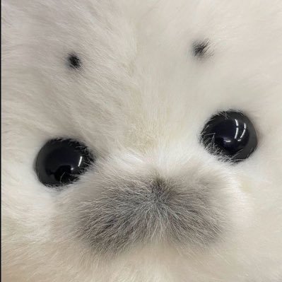 _nennenko_'s profile picture. 