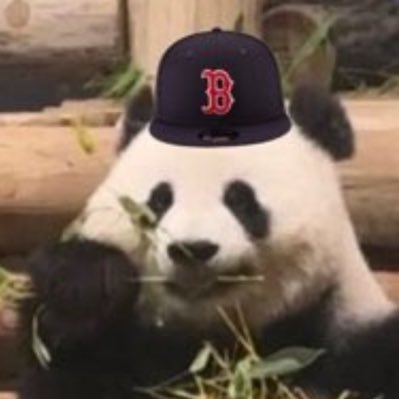 Boston18Sports1's profile picture. Red Sox// Celtics// Patriots // NL- Marlins // Clear Eyes, Full Hearts, Can’t Lose
