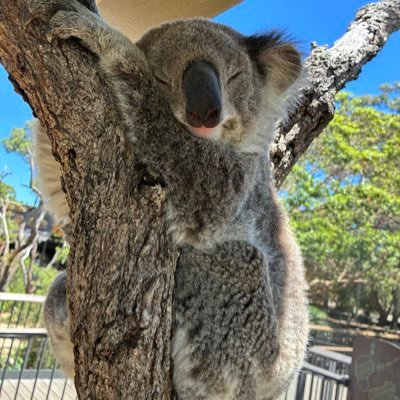 Oasis_JF's profile picture. 