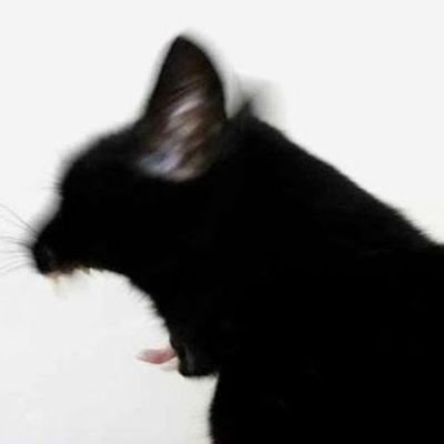 El_Absalom's profile picture. 