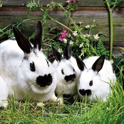 Mansi8648822480's profile picture. 