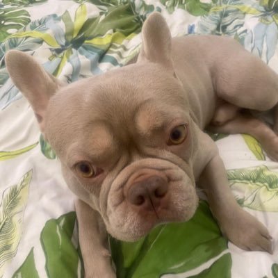 Screnwriter's profile picture. 