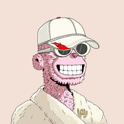 darkloyer's profile picture. gem finder 💎 high volatility, I do not give financial advice, do your research DYOR