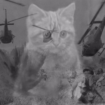 senseitsu's profile picture. 