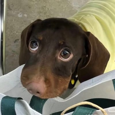 nncpkr's profile picture. 