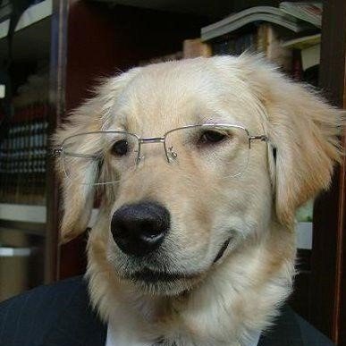 DrCrowFake's profile picture. かつてはSCPに少しばかり縁があった存在です。現在はミリタリー、ヒストリー、ゲーム、ラノベ・SF界隈観察をしています。人格がカスなので畜生道に落ちました。Wikidotname:winston1984(SCP財団日本支部サイトメンバー・現在非アクティブ)