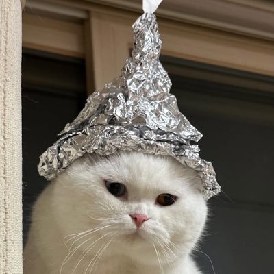 perayuay's profile picture. @biblesumett are my sunshine 🤍🐈‍⬛✨