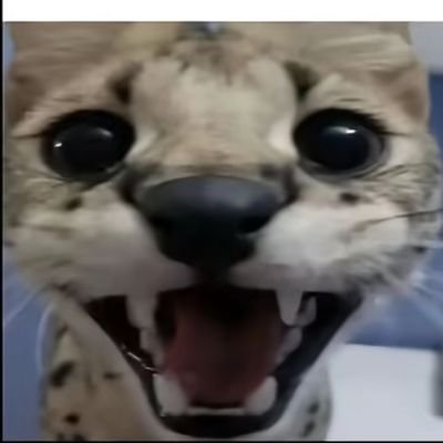 xiok310274's profile picture. hi👋 I'm yuyue  i'm17yo.
do you like my art or cosplay?  :3
if you want，i wanna be your friend☺️