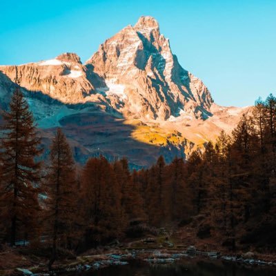 97_d7o's profile picture. 