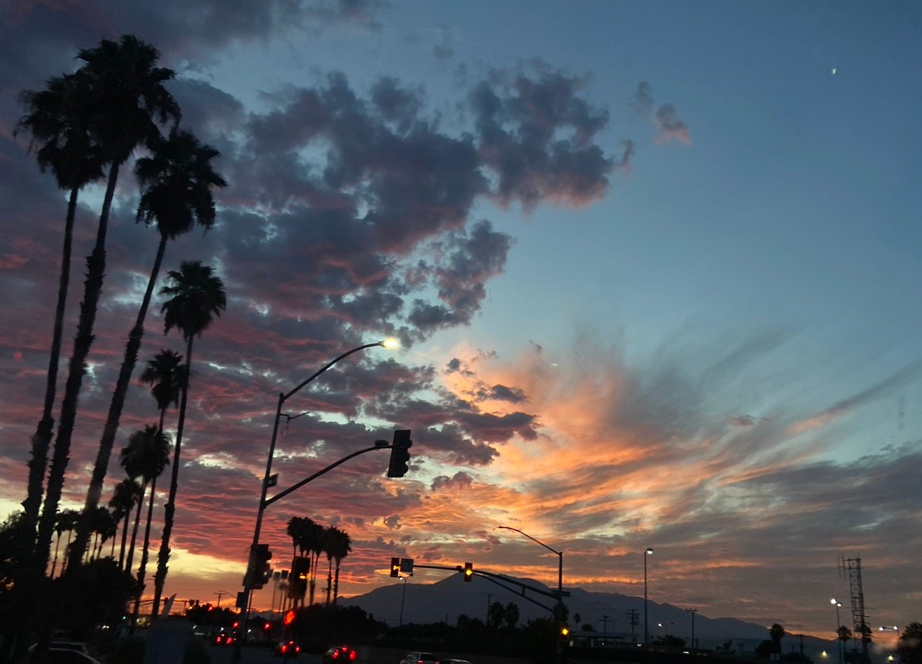 Rissax92's profile picture. 