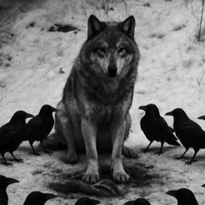 tradersjotter's profile picture. Trading to escape. Helping traders to stay disciplined + motivation daily. Join the escape to see my daily trades → https://t.co/zMNqTiUxzx