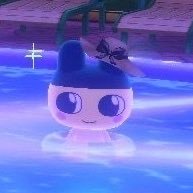 rai08270's profile picture. 見る専