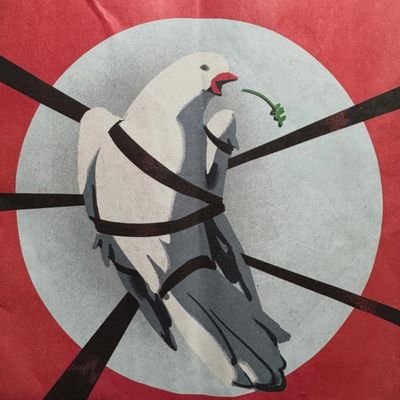 urba011's profile picture. 