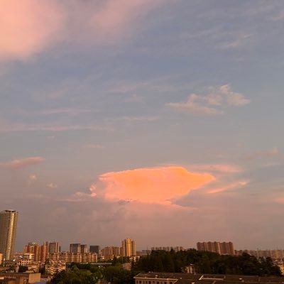 xiaocai151887's profile picture. ENTJ/啰里八嗦发日常/有感触直接评论私信打招呼不回谢谢