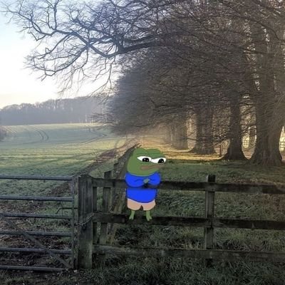 0xColouredboi's profile picture. 