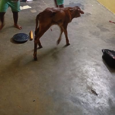 viswanath_86's profile picture. Bharat maa ka beta