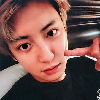 ex__traordinary's profile picture. 