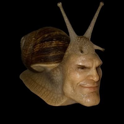 Nichola18553554's profile picture. I have this account to give people raids -