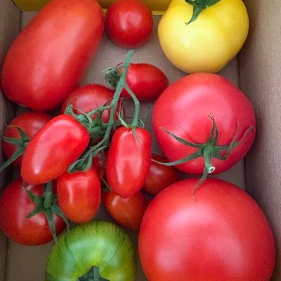 herewearewaitin's profile picture. Protect my kids from further abuse - https://t.co/yUAdSfwYMZ