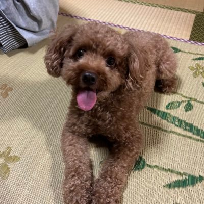 hrt_120's profile picture. 〝ひろと〟です／25↑／推し活とコスプレとその他／コス写真は全てワンクあり