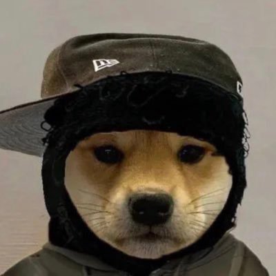 nofelines's profile picture. 