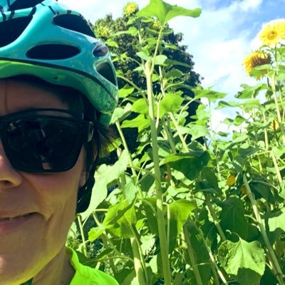 cissemonni's profile picture. Auktorisoitu Personal trainer. Salitreeni, kestävyysliikunta, pöyräily #bianchi. Metsä, Meri, Musiikki, Matkustelu. Koirat, hevoset. Espanjan kielen opiskelu.