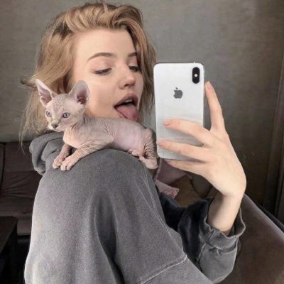 lovatic_gl's profile picture. 