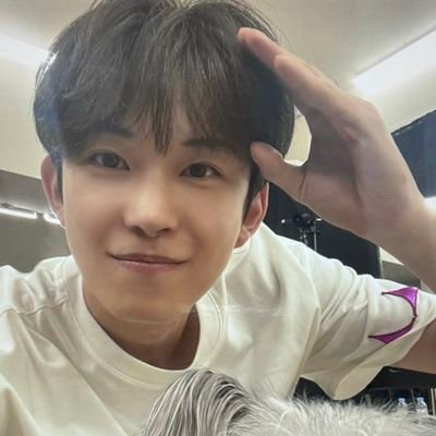 dnries's profile picture. like a like a like a flame