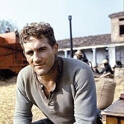 SimaVasic77731's profile picture. Inžinjer Rudarstva 
stara garda