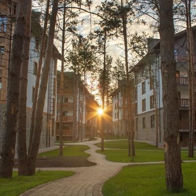 alex_trefff's profile picture. Нужно уметь расставлять приоритеты