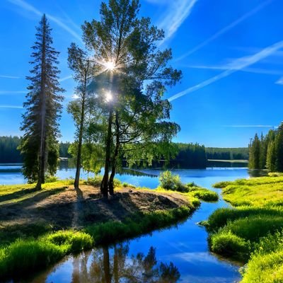 SABRINEKAW87939's profile picture. 