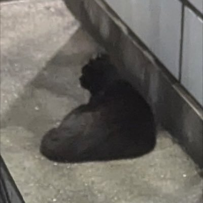 cpa_0421's profile picture. CPA通信生26年目標