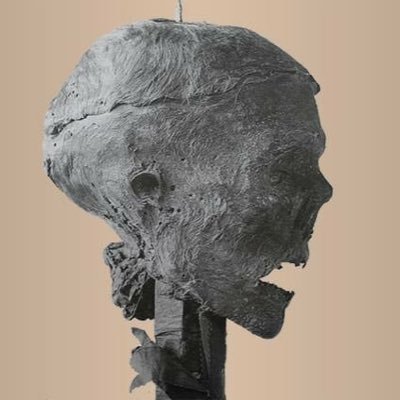 IveaghGael's profile picture. deoraíocht Is Gael Iveagh mé as seancheantar Maigh Rath i Uladh - Fabriqué en  Irlande - No to Genocide 🇵🇸🍉