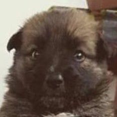 ttang___kong's profile picture. 