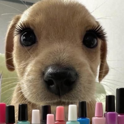 feelingppor__'s profile picture. 