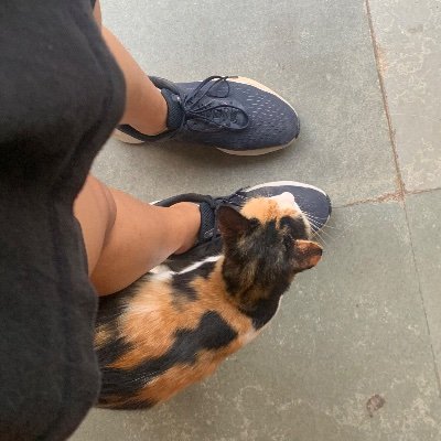 notkaddu's profile picture. 