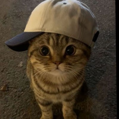 manaafv's profile picture. 🇲🇹 / 🇦🇺 ☆  22K USD ☆ 4x Cash Cup Winner ☆