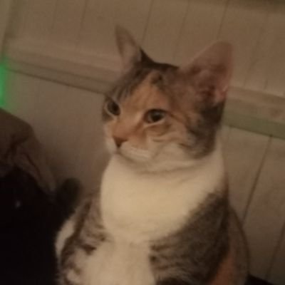 JESS4TEREZI's profile picture. Funny of Princess / 
funny princess main (FP2)
Banner: Funny Princess